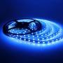 5421 striscia led siliconata 24v 24w ip68 blu gbc online milano cesano boscone corsico trezzano sul naviglio baggio gaggiano vermezzo rosate abbiategrasso buccinasco assago rozzano cornaredo rho pero roma torino bologna 5421 striscia led siliconata 24v 24w ip68 blu gbc online milano cesano boscone corsico trezzano sul naviglio baggio gaggiano vermezzo rosate abbiategrasso buccinasco assago rozzano cornaredo rho pero roma torino bologna