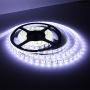 Striscia led 24V 24W alta luminosità IP68 mt. 5 gbc online milano expo cesano boscone corsico trezzano s/n baggio olmi cusago gaggiano rosate vigevanese settimo milanese vermezzo quinto romano legnano rozzano bologna torino bergamo Striscia led 24V 24W alta luminosità IP68 mt. 5 gbc online milano expo cesano boscone corsico trezzano s/n baggio olmi cusago gaggiano rosate vigevanese settimo milanese vermezzo quinto romano legnano rozzano bologna torino bergamo